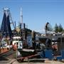 Brunswick Heads - Marina