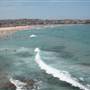 Bondi Icebergs