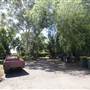 Cedar Creek Orchard