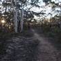 Bardens Lookout