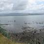 Lake Illawarra South-Skiway Park