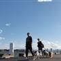 Lake Illawarra North-King St Foreshore & Bob Grabham Jetty