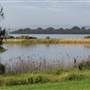 Lake Illawarra North-Budjong Creek Wetland