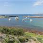 Shellharbour 2