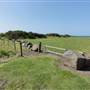 Shellharbour - The Shallows Coastal Reserve