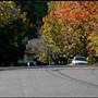 American style - houses & streets