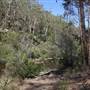 Georges River Nature Reserve