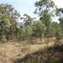 Georges River Nature Reserve
