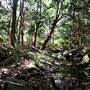 Warraroon Reserve