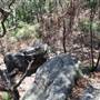 Ted Horwood Reserve