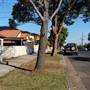 Chullora - Hillcrest Ave