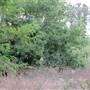 Brownlow Hill - File 2