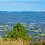 Nimbin