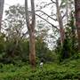 Bradley Reserve