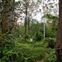 Bradley Reserve