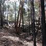 O'Hares Creek
