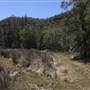 Bushland Creek