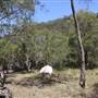 Bushland Creek