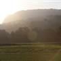 Kangaroo valley