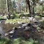 Coxs River - Glenroy Cabins and Camp Ground
