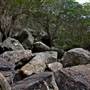 Bents Basin State Conservation Area