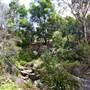 Flatrock Gully