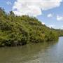 Georges River