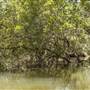 Georges River