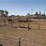 Coonamble