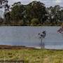 Scenic NSW Equine Centre
