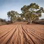 Pinnacles - Broken Hill