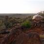 Broken Hill Sculptures Site and Living Desert