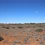 Broken Hill Sculptures Site and Living Desert