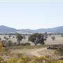 Rylstone