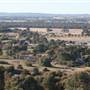 Gulgong