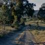 Hopeful Ranch Olive Farm File 1