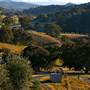 Hopeful Ranch Olive Farm File 1