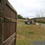 Hopeful Ranch Olive Farm File 1