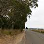 Hopeful Ranch Olive Farm File 5 Roads