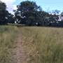 Centennial Park
