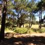 Centennial Park