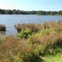 Centennial Park
