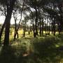 Centennial Park