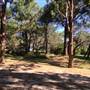 Centennial Park