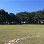 Centennial Park