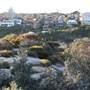 Dunningham Reserve Coogee