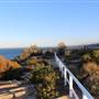 Dunningham Reserve Coogee