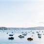 Avalon Sailing Club