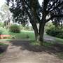 Carcoar Churches 2014