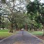 The Domain - Royal Botanic Garden Sydney